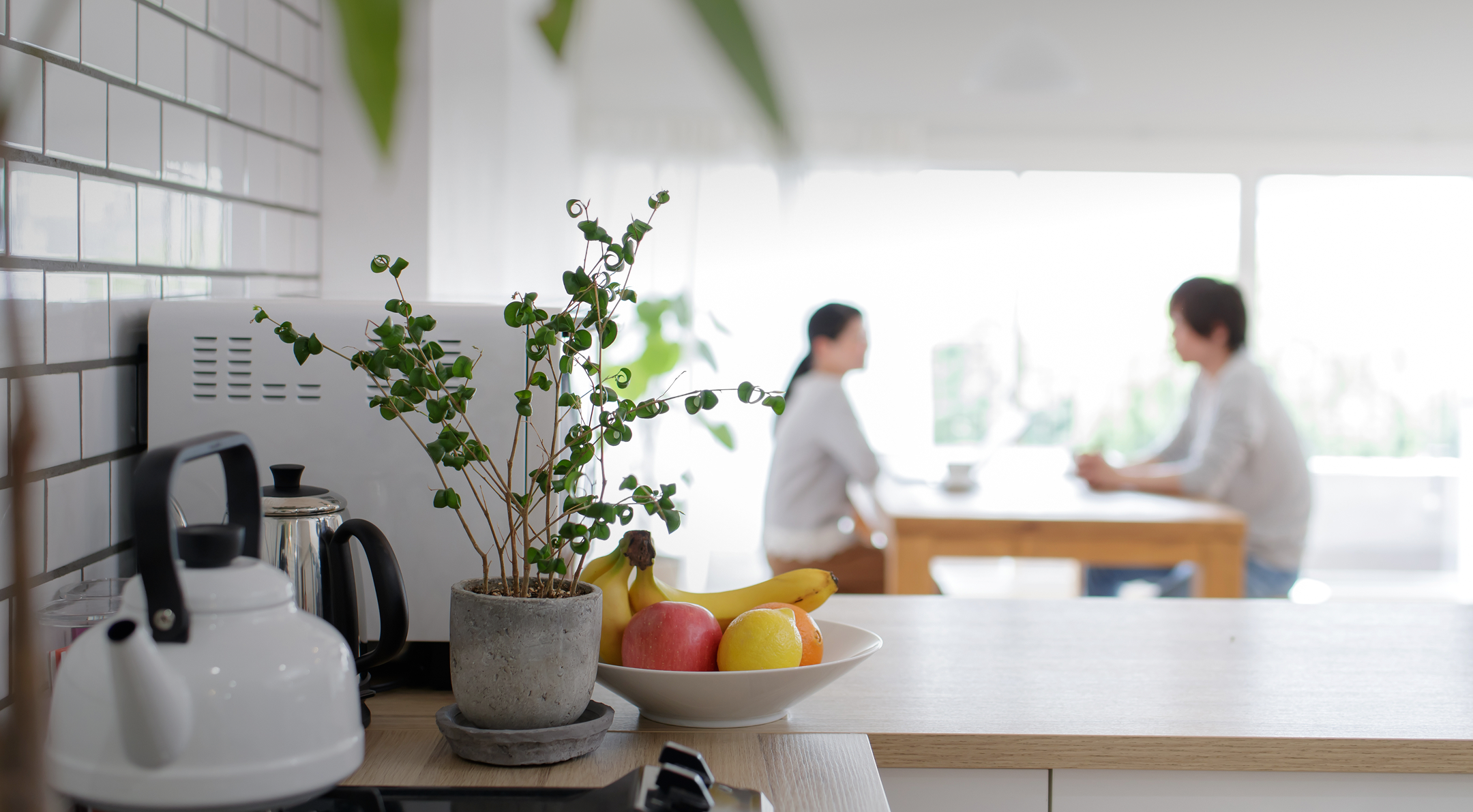 メインイメージ1